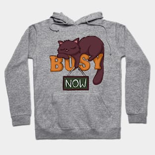 Sleeping Busy Kawaii Cat Hoodie